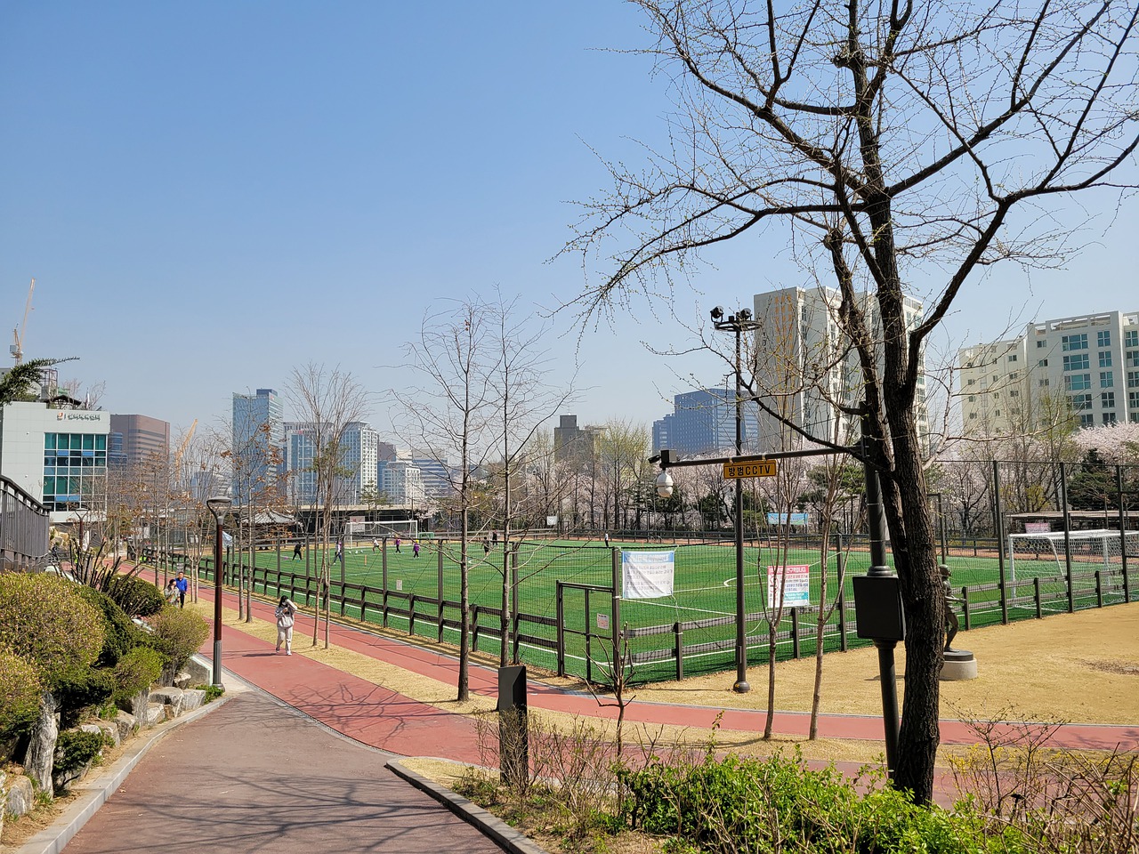 家队的中流 家队的中流