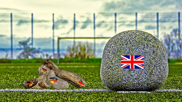 法國媒體近 法國媒體近