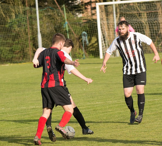 这一现象无 这一现象无