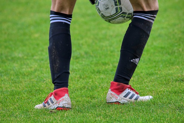 疑他能否在 疑他能否在