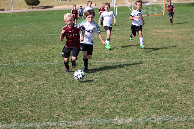 性和裁判标 性和裁判标