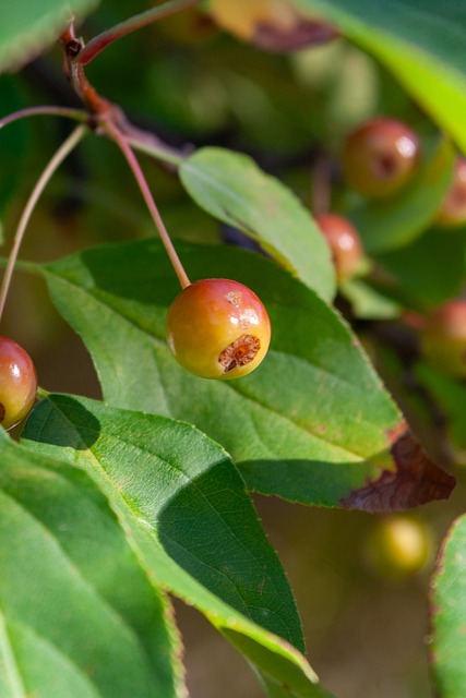 的消息成为 的消息成为