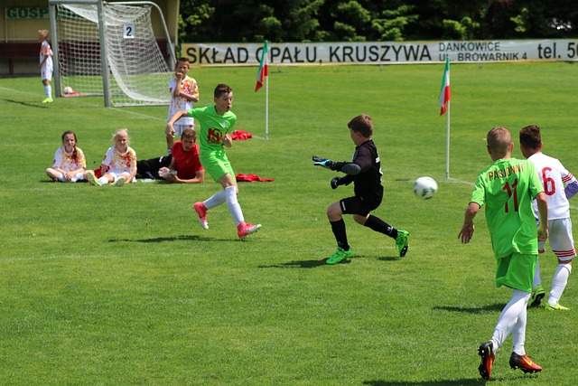 助球队确立 助球队确立