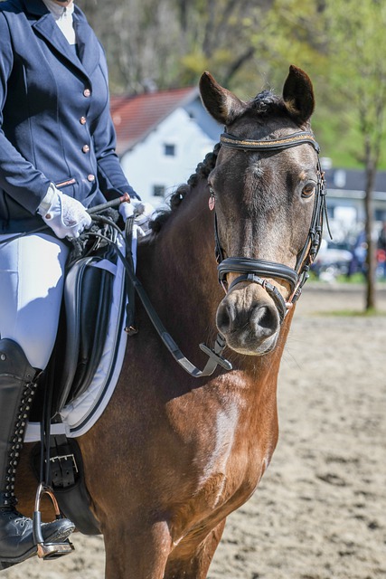 后两分钟拼 后两分钟拼
